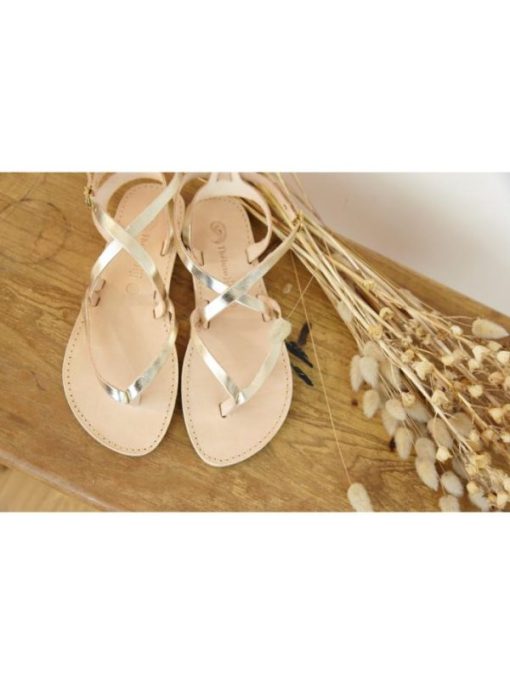 Swanattire.shopa2cdcd809f 1
