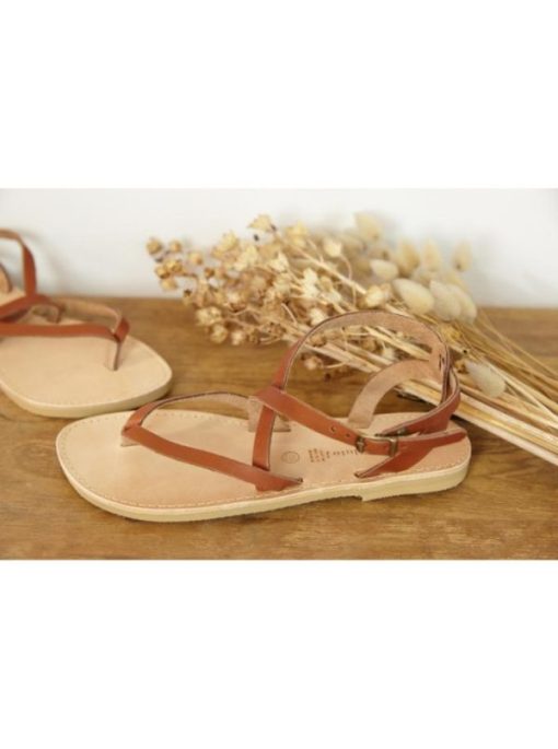 Swanattire.shopefe3f573f8 1
