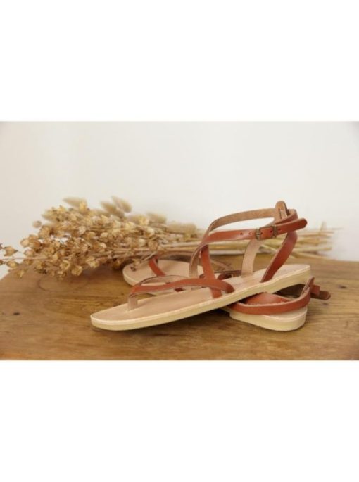 Swanattire.shopefe3f573f8 3